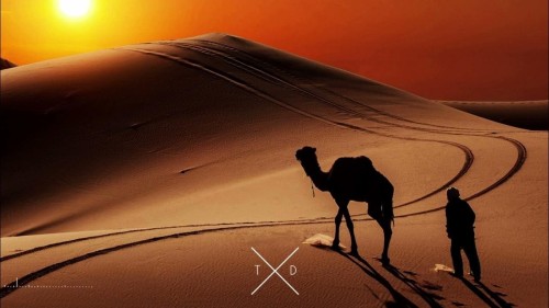 جهاز تعقب الابل