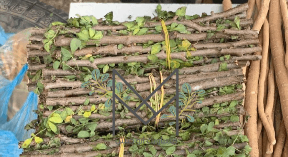 فوائد مسواك البشام