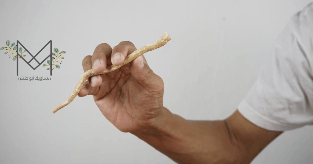 هل تعلم أن السواك غني بمضادات البكتيريا؟