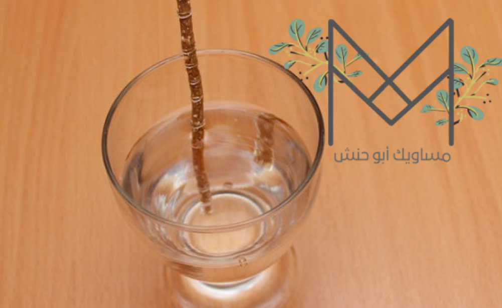 فوائد شرب ماء السواك | ماء الأراك الطبيعي لصحة الفم والجسم فوائد شرب ماء السواك | ماء الأراك الطبيعي لصحة الفم والجسم