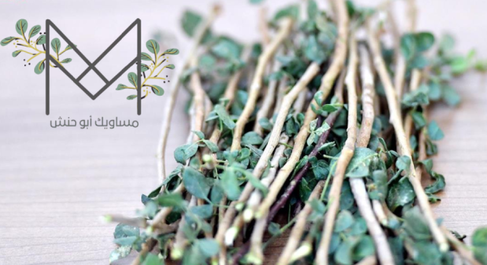 شجرة مسواك البشام