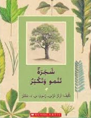 شجرة تنمو وتكبر