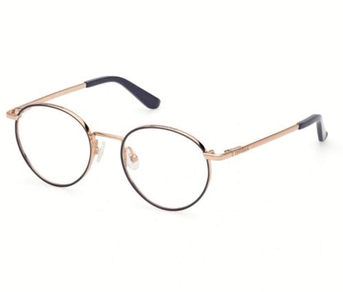 نظارة جيس Guess 2725 020