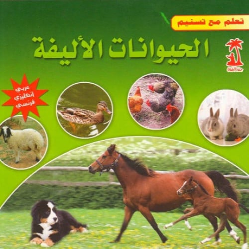 سلسلة تعلم مع تسنيم