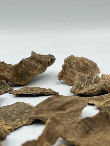 فلبيني ليتي دبل سوبر