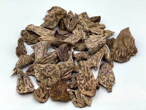 سيلاني ادمز (دبل سوبر)