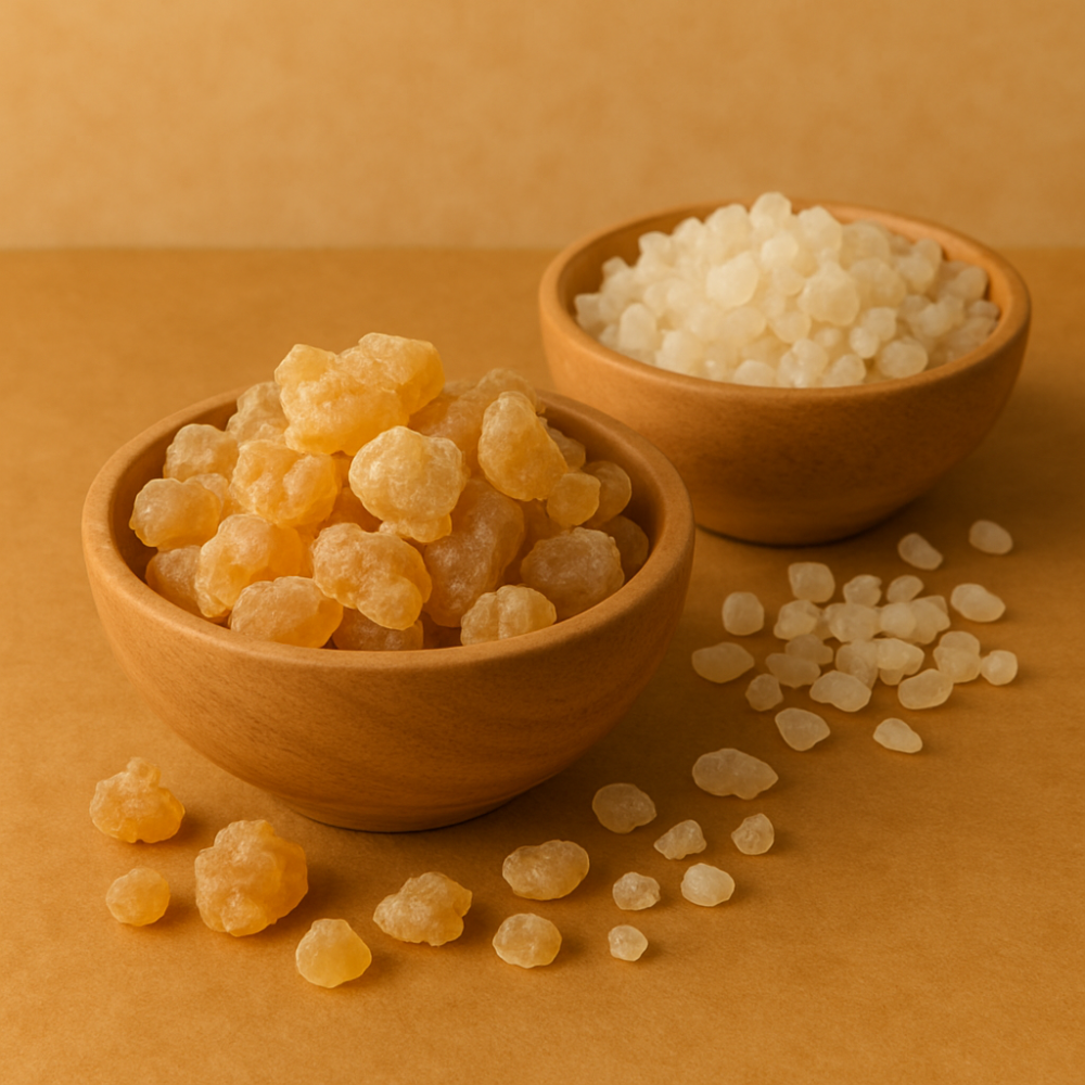 فوائد اللبان والمستكة