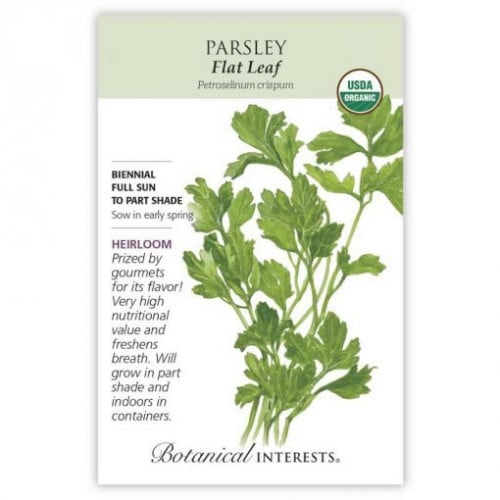 بذور بقدونس فلات - Flat Leaf Parsley Seeds