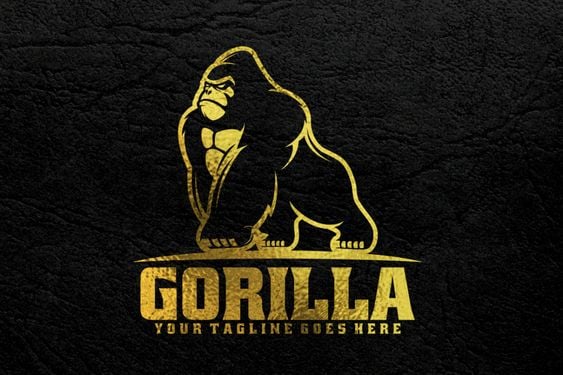 ليتل غوريلا/Little Gorilla
