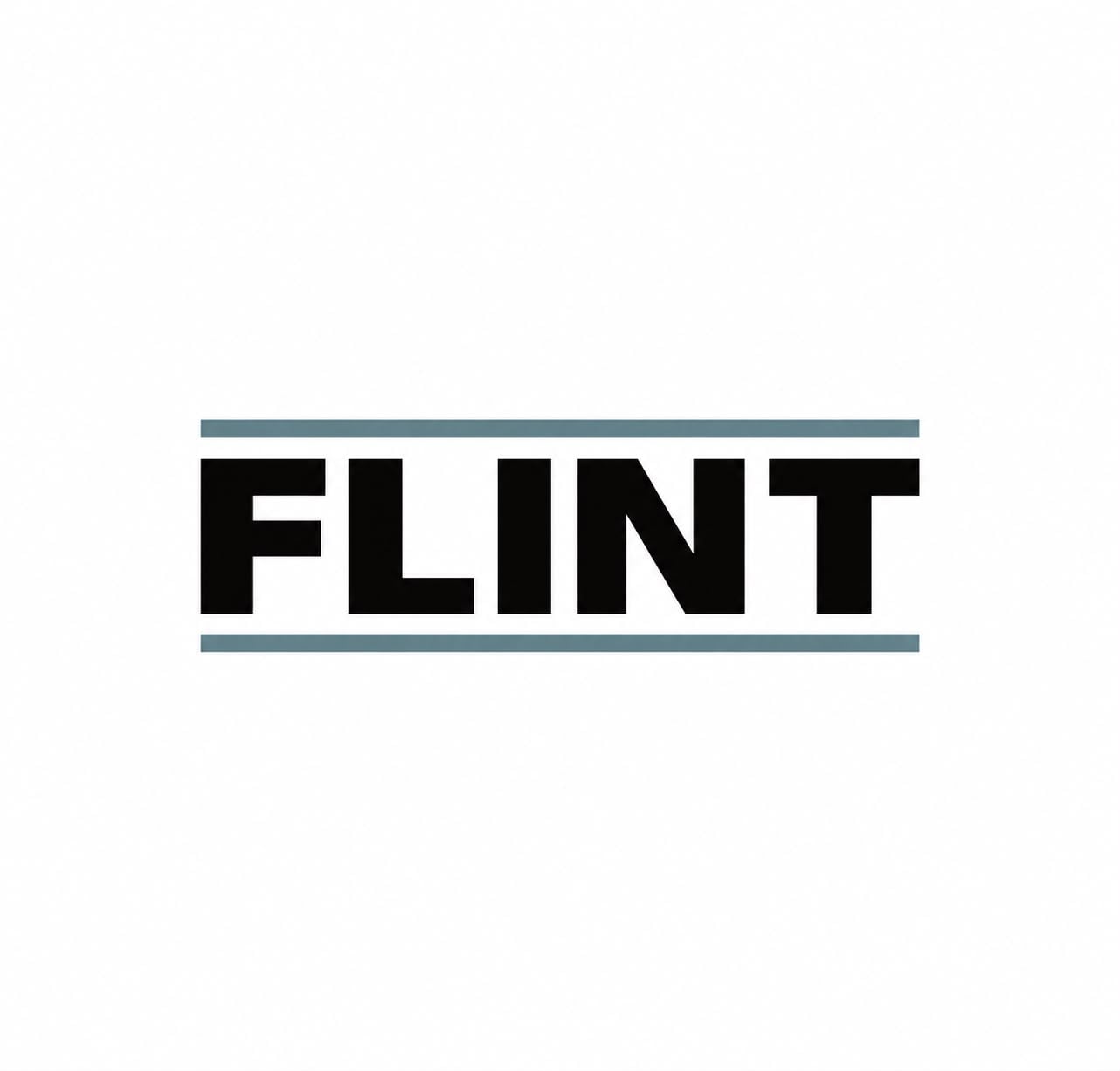 فلينت / FLINT