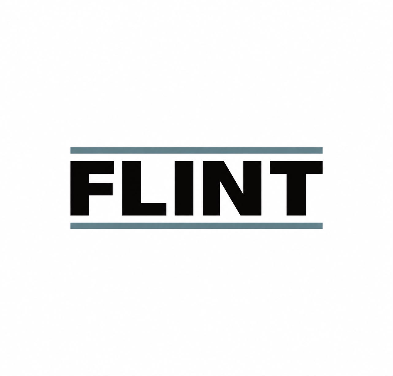 فلينت / FLINT