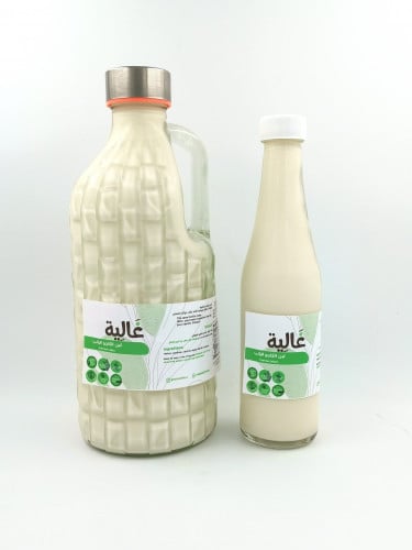 لبن الكاجو الرائب