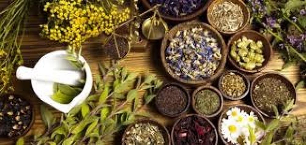 ماهي الاعشاب الطبيعية وأنواعها وفوائدها ومدى ملائمتها للانسان