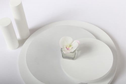 ورده  الاوركيد البيضاء لضيافه