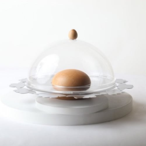 صياني الاوركيد