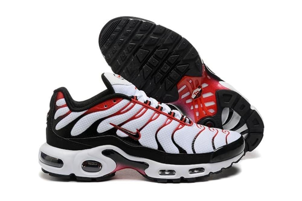 Air max plus