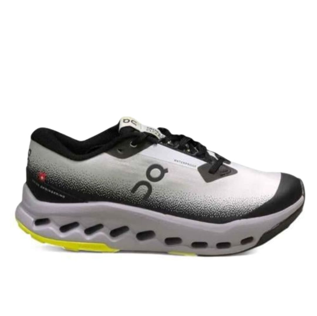 On Cloudsurfer Trail 2