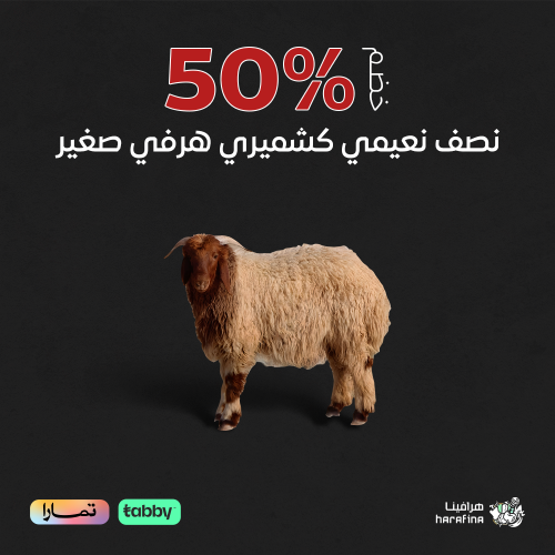 نصف نعيمي كشميري هرفي صغير