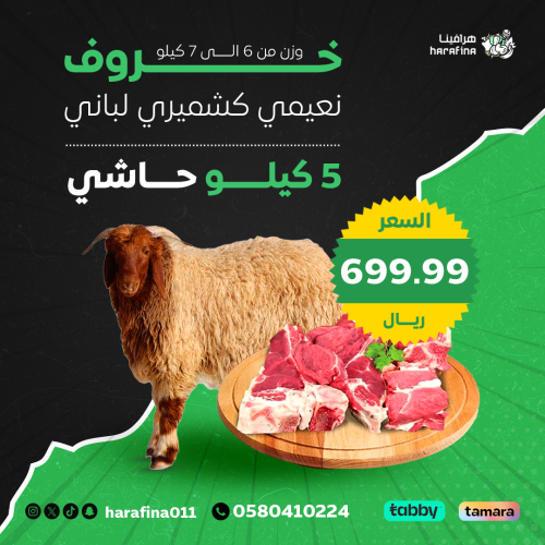 بكج الحاشي و النعيمي اللباني