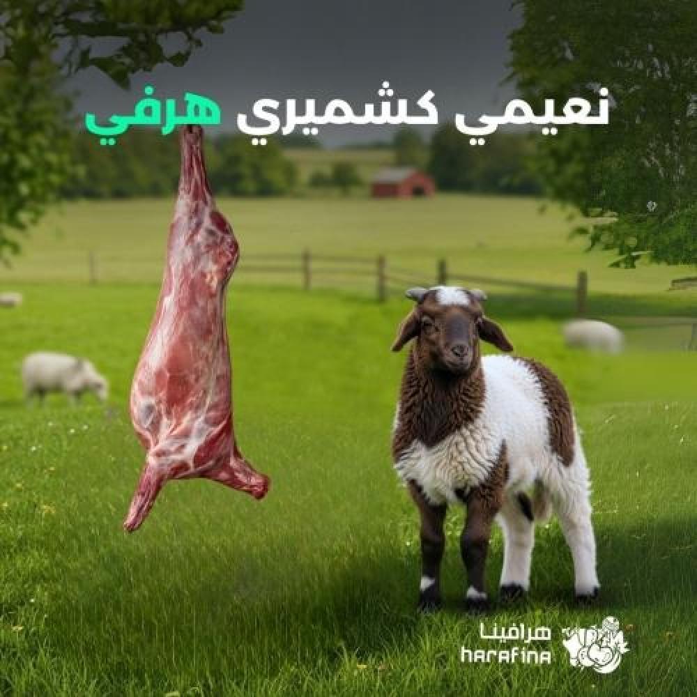 النعيمي الكشميري