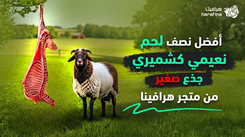 أفضل نصف نعيمي كشميري