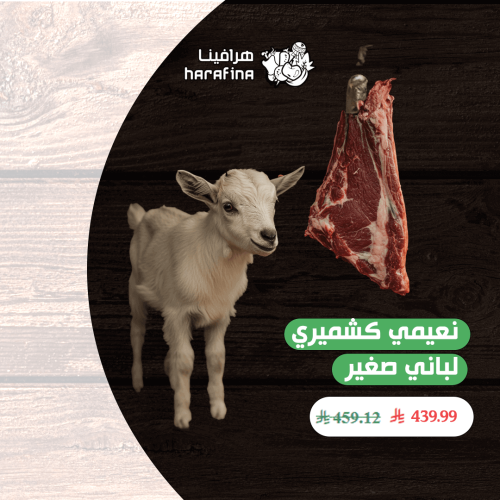 نعيمي كشميري لباني صغير