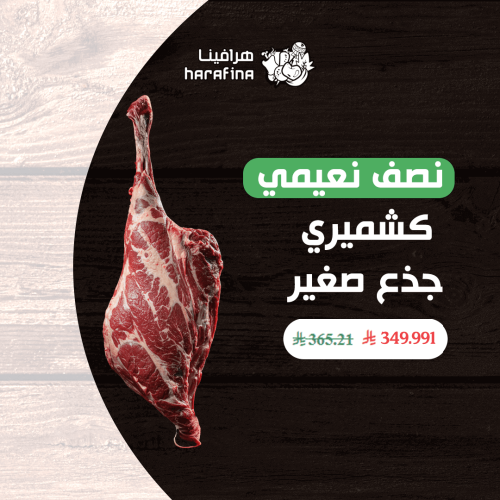 نصف نعيمي كشميري جذع صغير