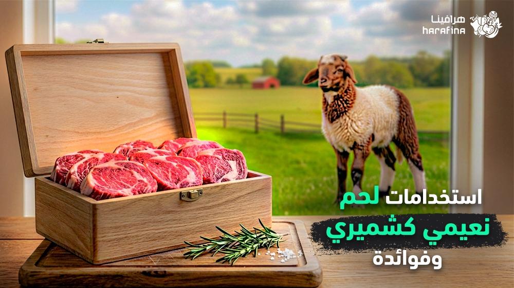 نعيمي كشميري