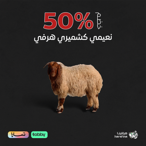 نعيمي كشميري هرفي كبير