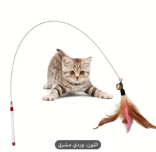 سنارة لعب لقطط