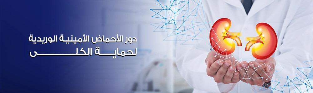 دور الأحماض الأمينية الوريدية لحماية الكلى