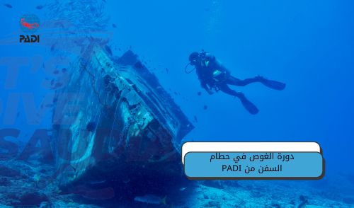دورة الغوص في حطام السفن من PADI