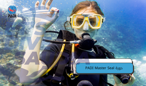 دورة PADI Master Seal