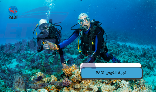 تجربة الغوص PADI