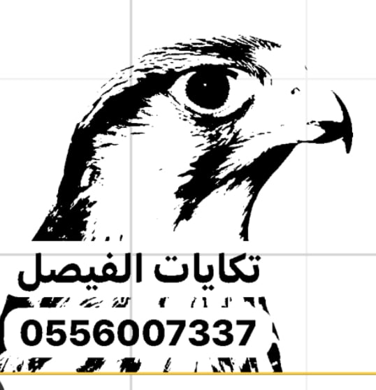 تكايات الفيصل