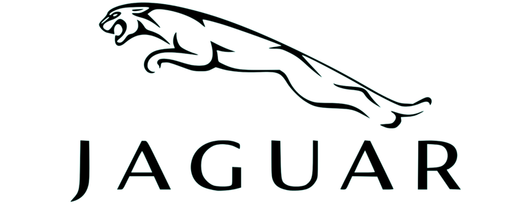 جاكوار