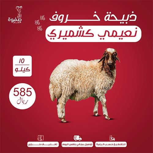 خروف نعيمي كشميري 10 كيلو