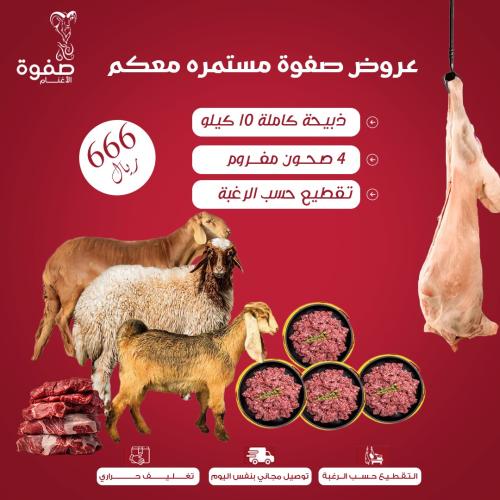 عرض 666