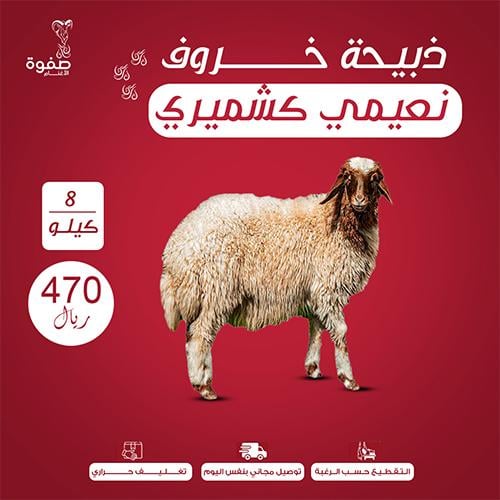 خروف نعيمي كشميري 8 كيلو