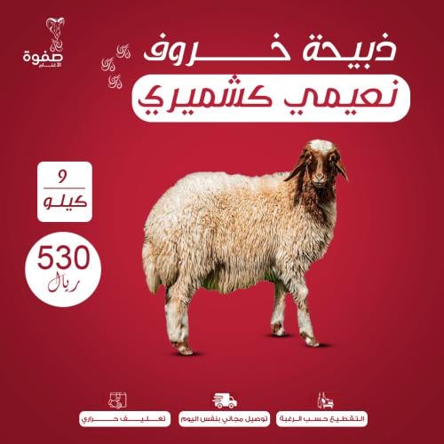 خروف نعيمي كشميري 9 كيلو