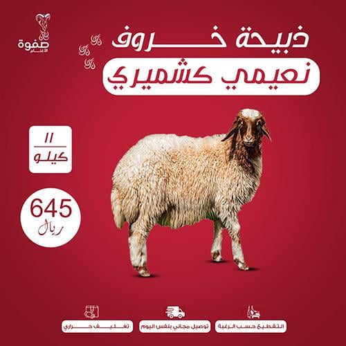 خروف نعيمي كشميري 11 كيلو