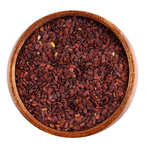 حلبة الخيل