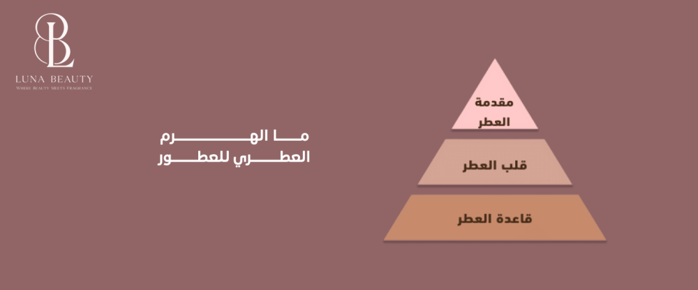 الهرم العطري للعطور