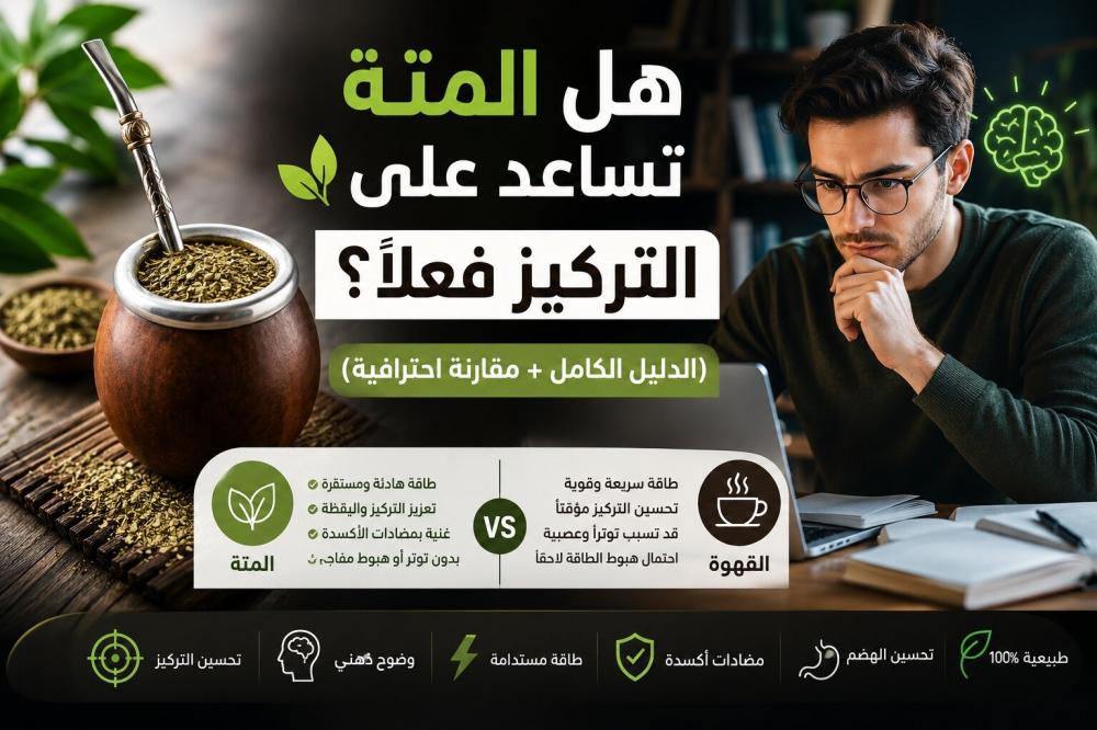 هل المتة تساعد على التركيز فعلاً؟ (الدليل الكامل + مقارنة احترافية)