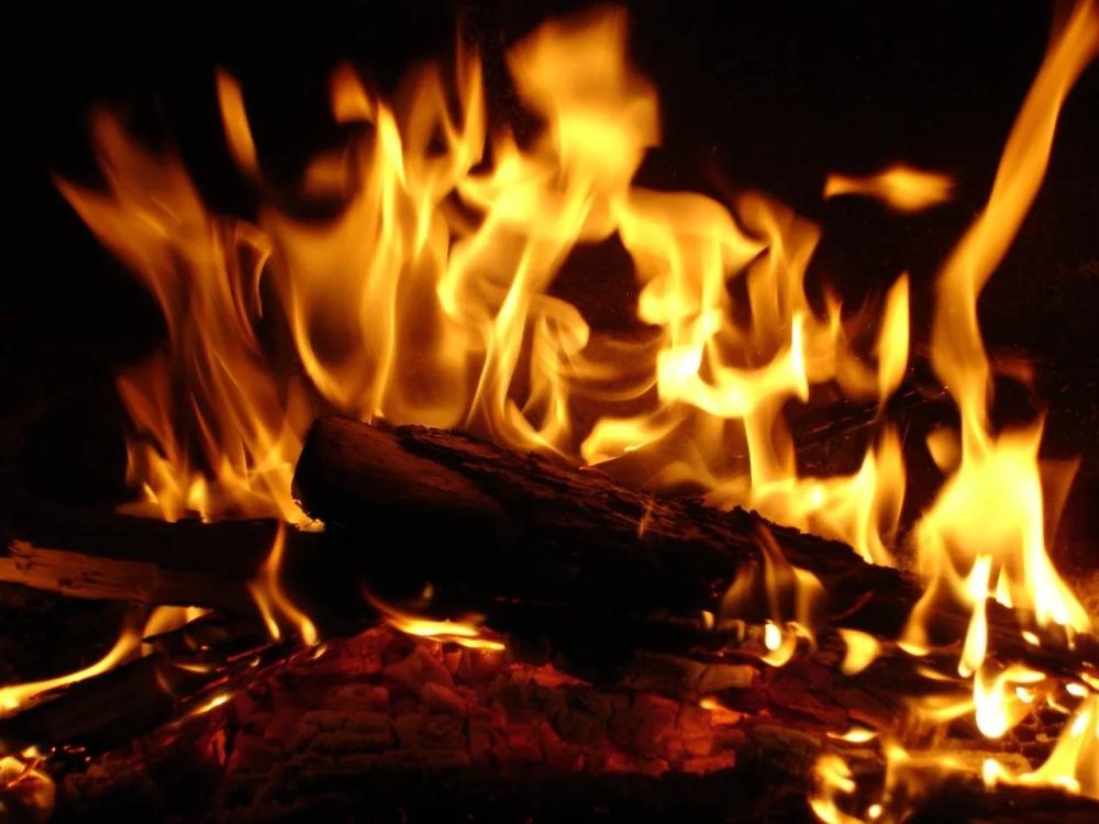 أفضل نوع حطب للتدفئة في الشتاء ؟