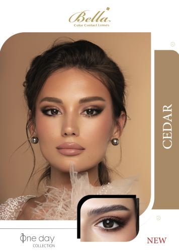 Bella Cedar