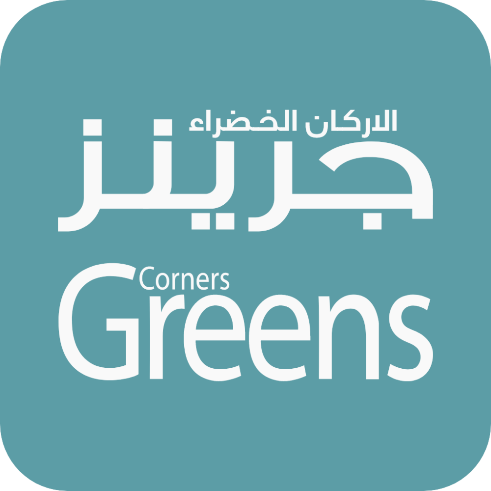 ماكسيم 400مج 5 حبات