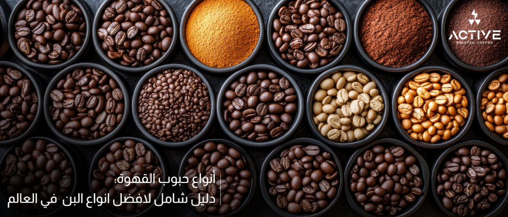 أنواع حبوب القهوة: دليل شامل لافضل أنواع البن  في العالم