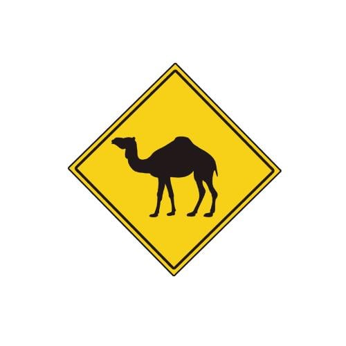 مغناطيس ثلاجة - Camel Sign 1