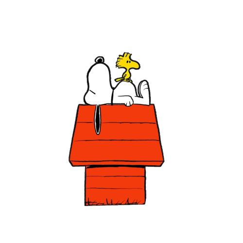 مغناطيس ثلاجة -Snoopy